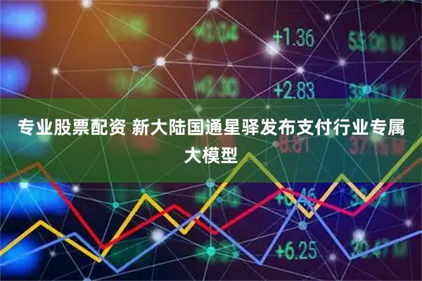 专业股票配资 新大陆国通星驿发布支付行业专属大模型
