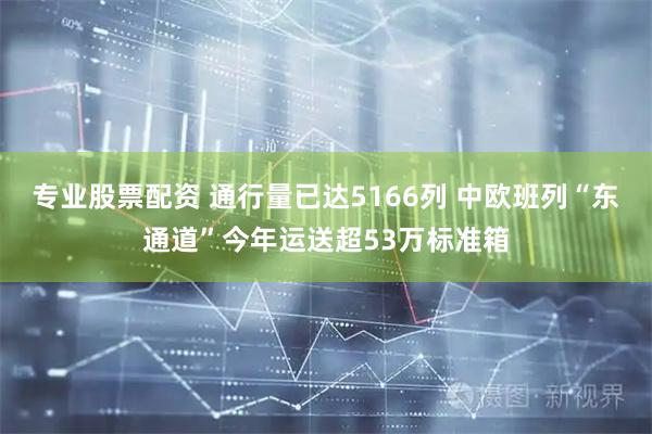 专业股票配资 通行量已达5166列 中欧班列“东通道”今年运送超53万标准箱