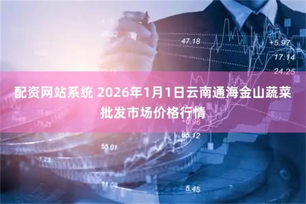 配资网站系统 2026年1月1日云南通海金山蔬菜批发市场价格行情