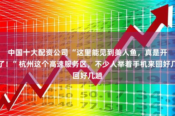 中国十大配资公司 “这里能见到美人鱼，真是开眼了！”杭州这个高速服务区，不少人举着手机来回好几趟